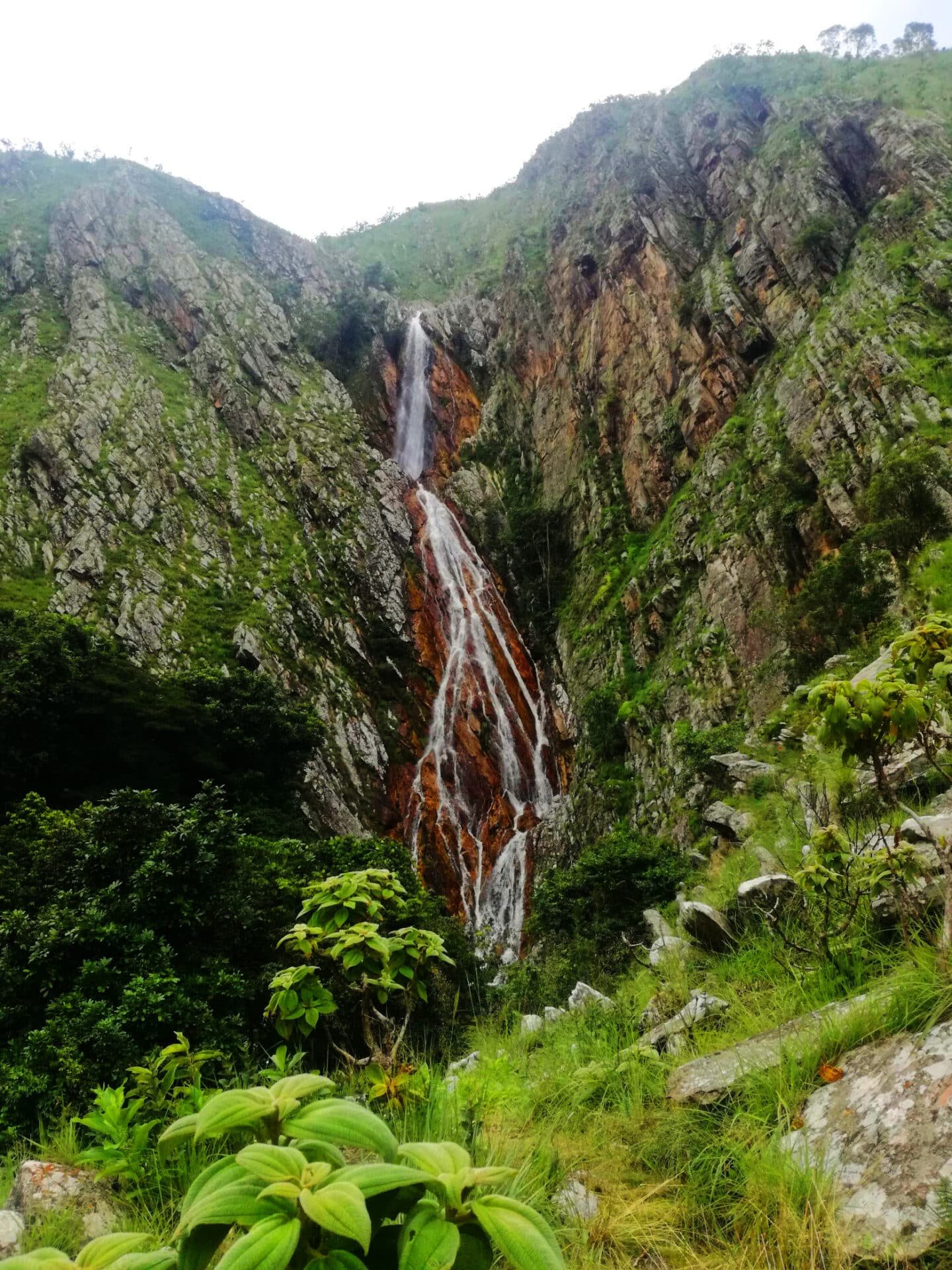 a fall in the middle of two stone mountains covered by green plants