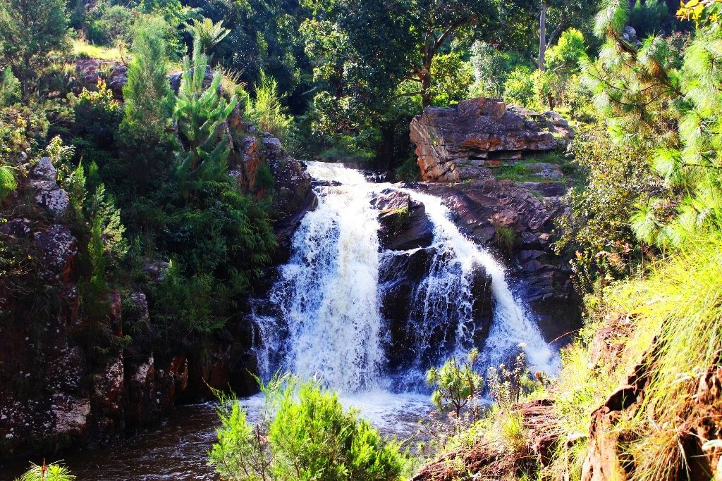 These waters flow through a gallery forest surrounded by a savannah