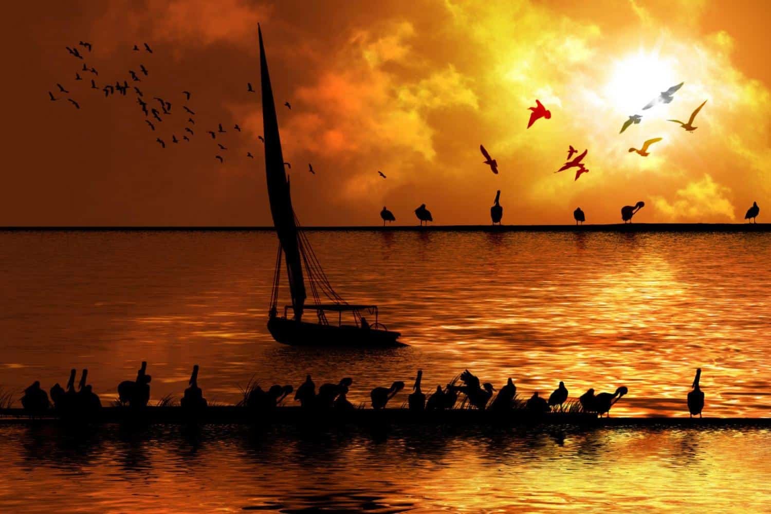 A flock of birds on the lake at sunset.